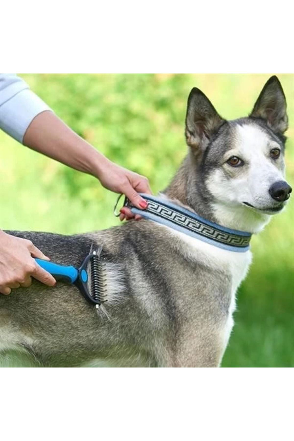 Lisinya Plastik Sapli Metal Kedi Köpek Bakim Kitik Tüy Topak Açici Tarak