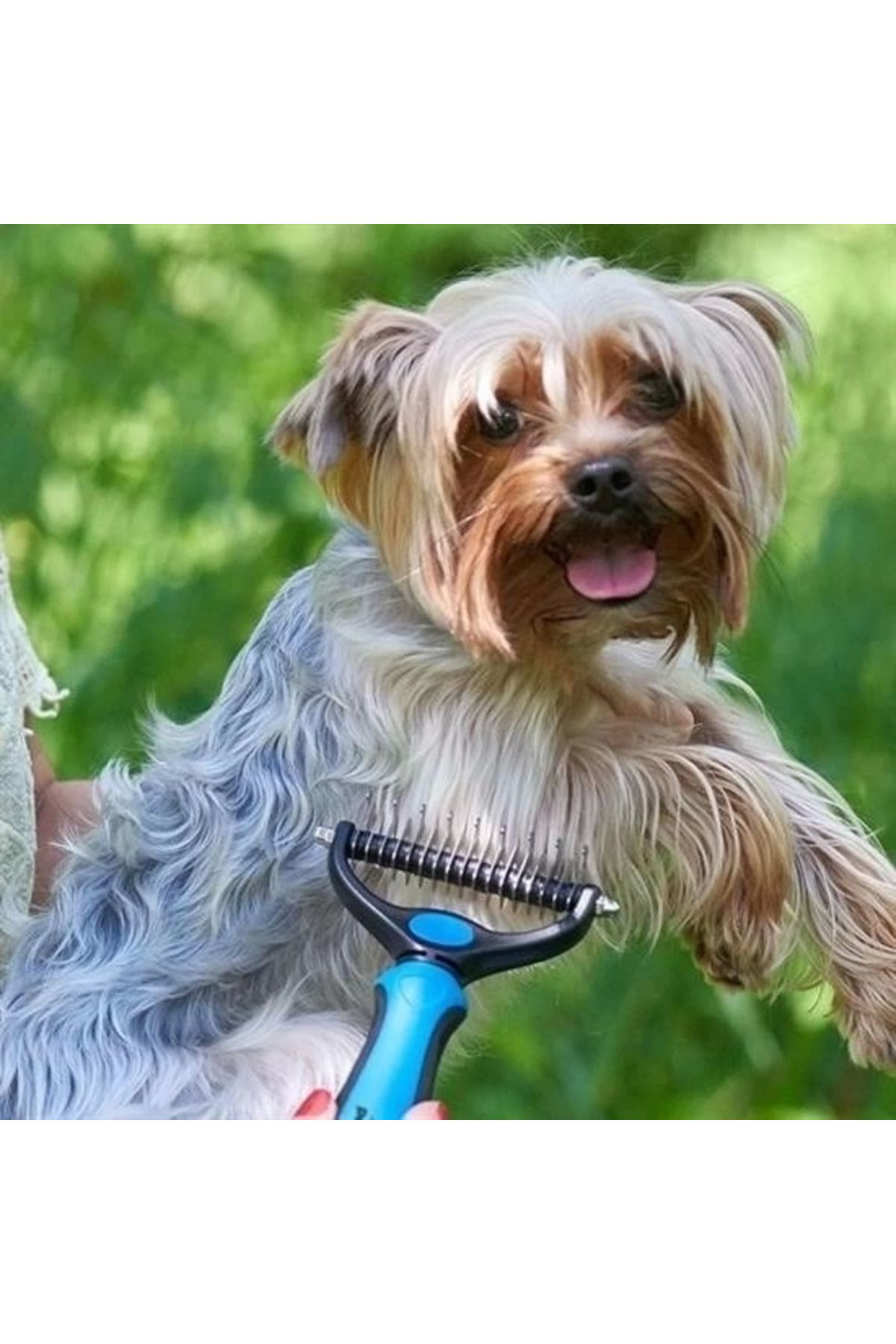 Yusuftex Plastik Sapli Metal Kedi Köpek Bakim Kitik Tüy Topak Açici Tarak