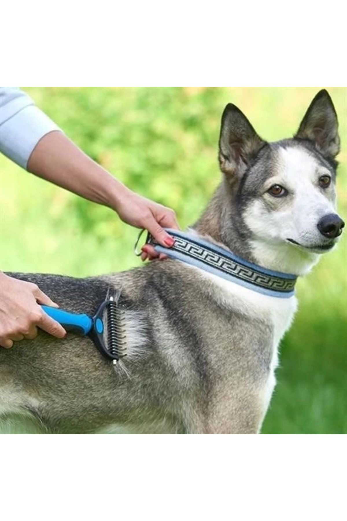 Yusuftex Plastik Sapli Metal Kedi Köpek Bakim Kitik Tüy Topak Açici Tarak