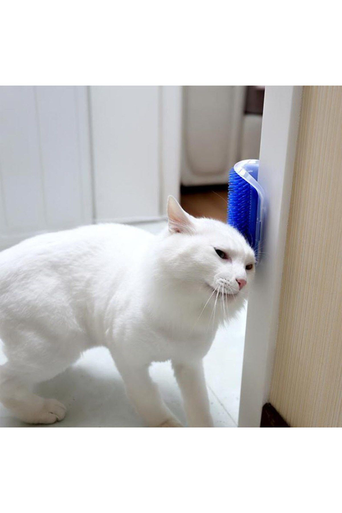 Ok Aksesuar Pratik Kedi Tüyü Kaşima Ve Tarama Aparati Duvara Monte Kaşima Ale