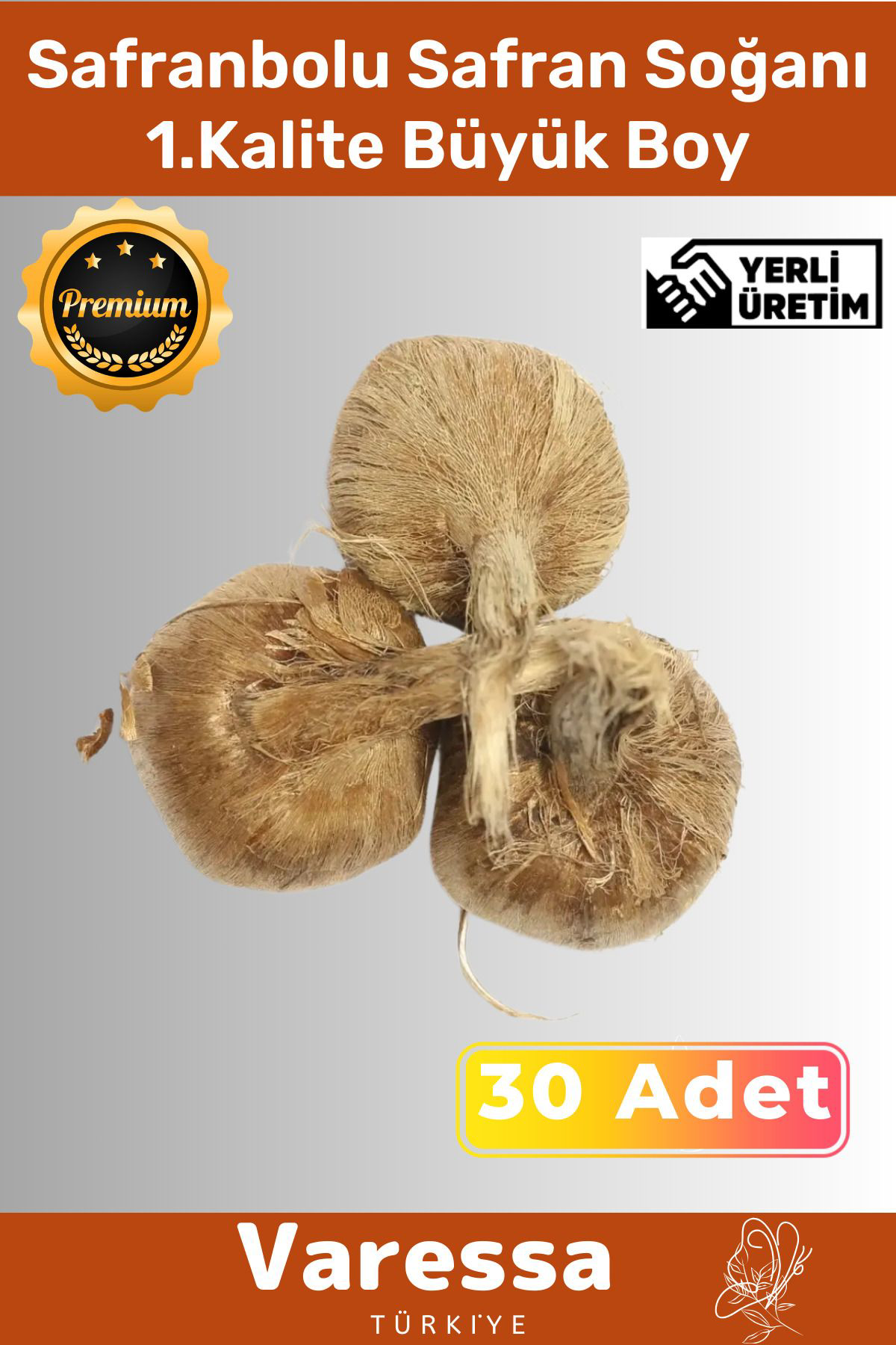 Varessa Premium Özel Dikime Hazir Yerli Üretim Safranbolu Safran Bitkisi