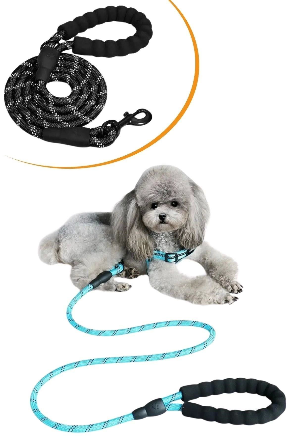 Yusuftex Reflektörlü Fosforlu Köpek Gezdirme Halati Tasma Kayişi Metal Kan