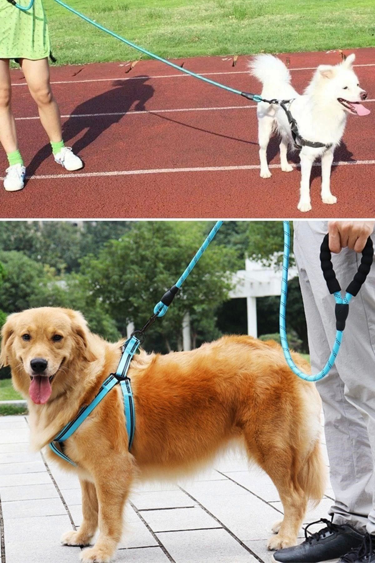 Yusuftex Reflektörlü Fosforlu Köpek Gezdirme Halati Tasma Kayişi Metal Kan