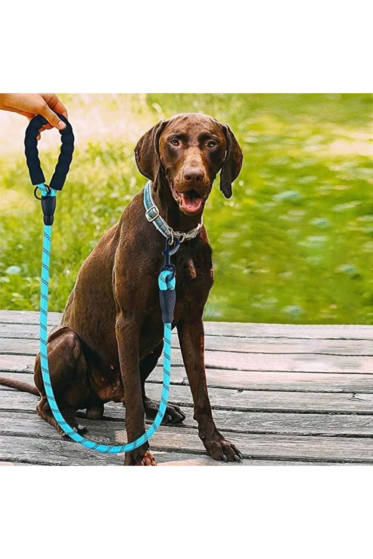 Yusuftex Reflektörlü Fosforlu Köpek Gezdirme Halati Tasma Kayişi Metal Kan