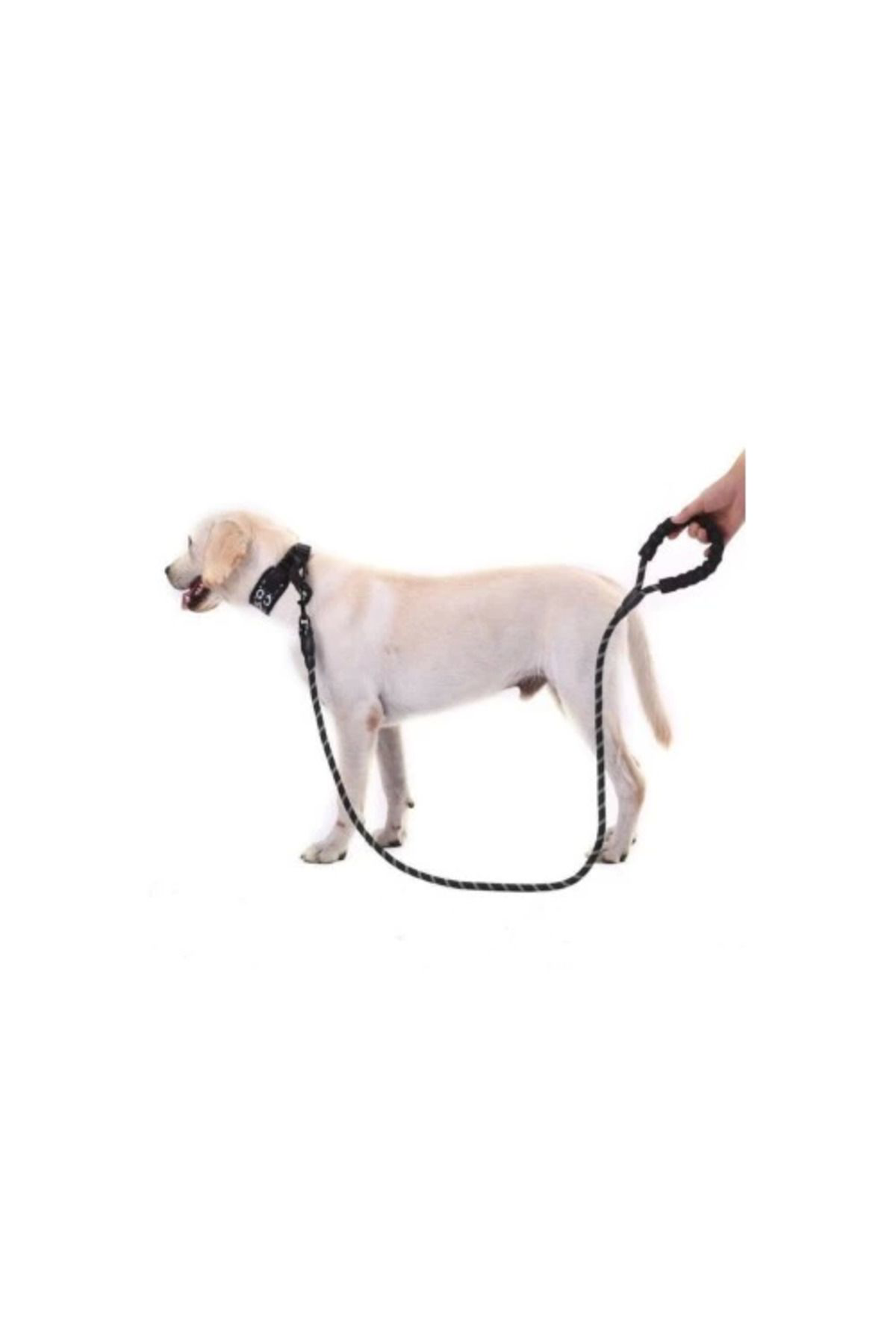 Yusuftex Reflektörlü Köpek Tasmasi 130 Cm.