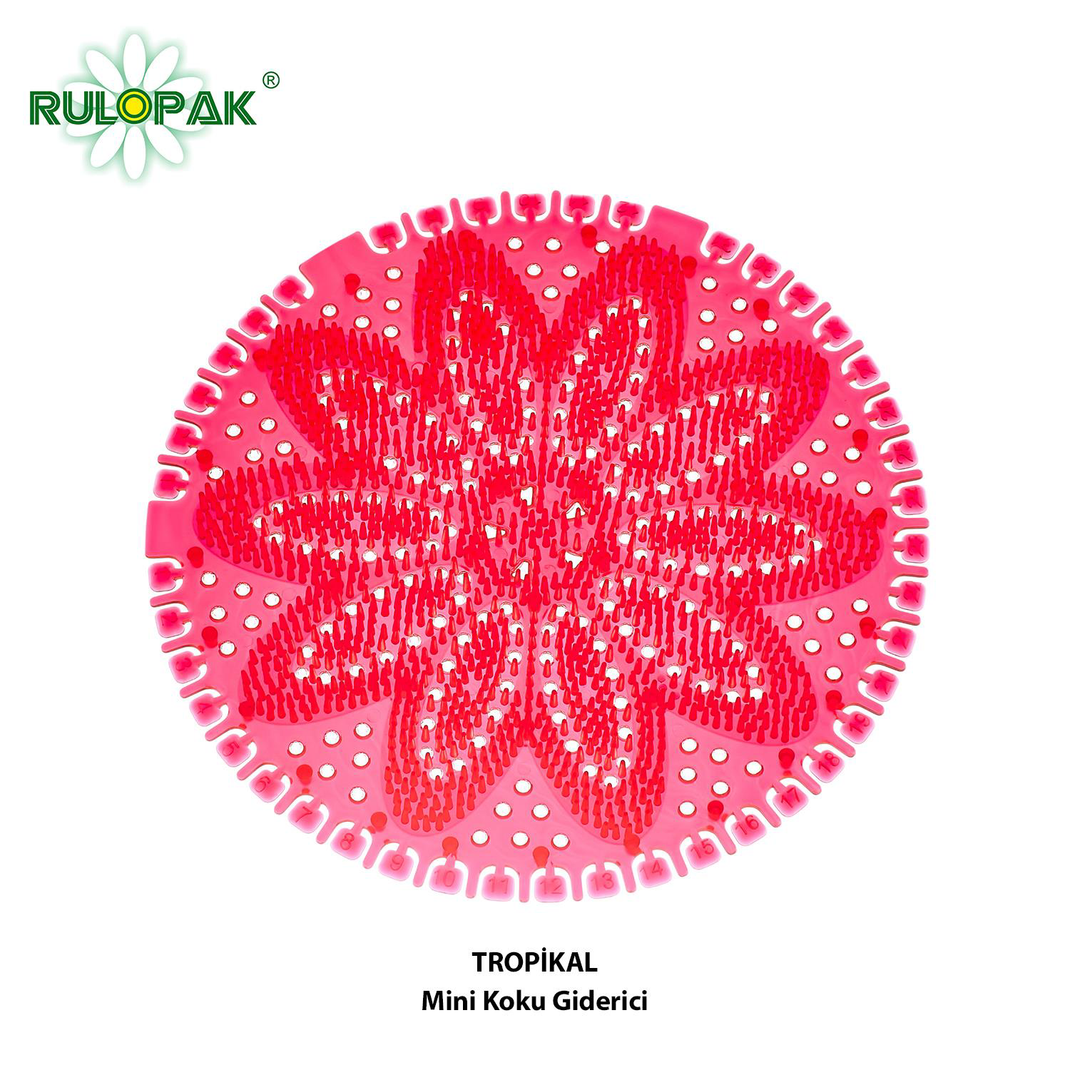 Rulopak  Mini Koku Giderici Tropikal