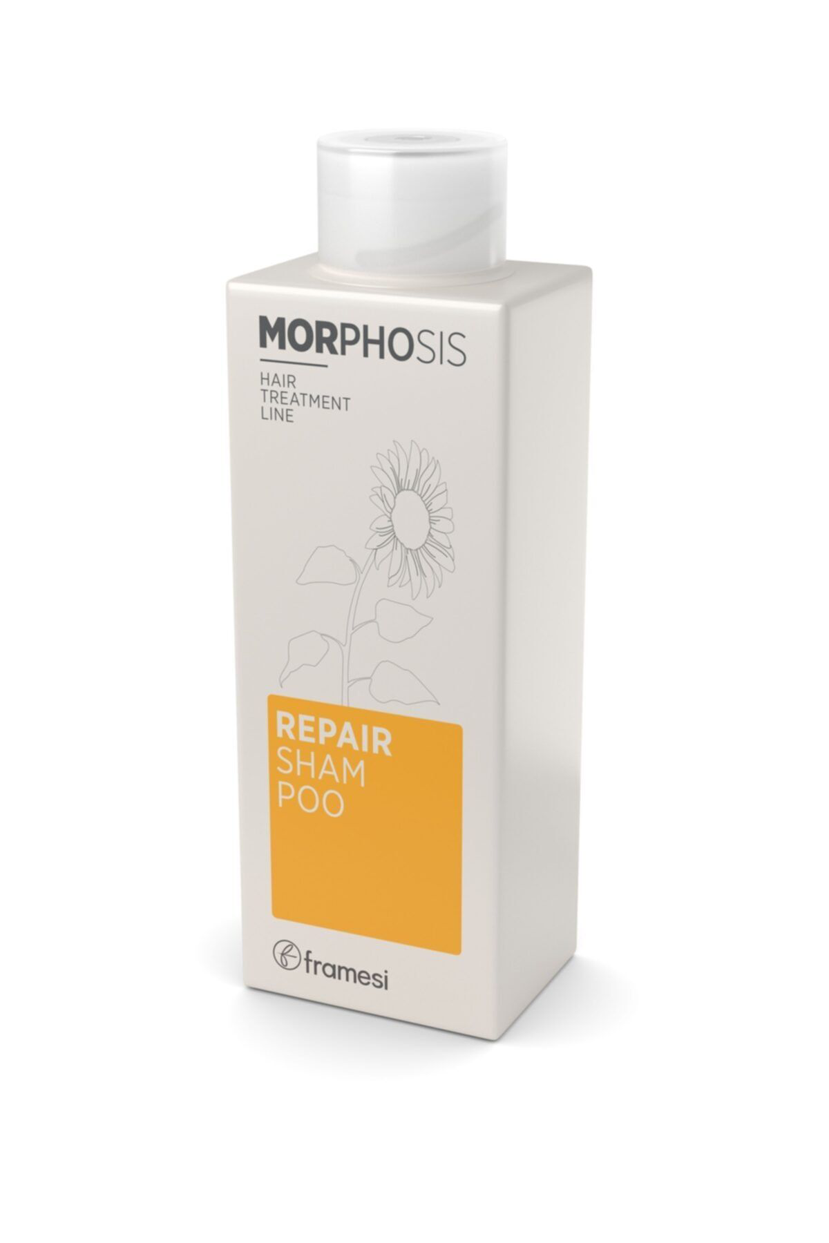 Framesi Morphosis Saç Bakim Şampuan+Krem Set