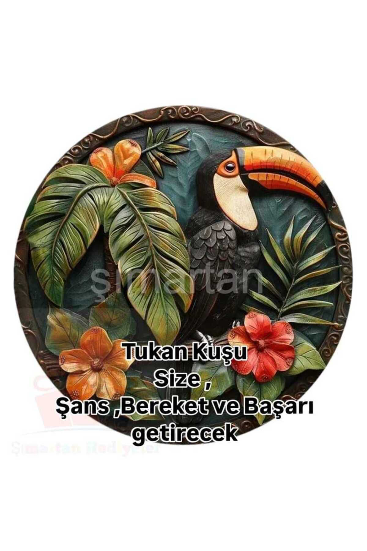 Şimartan Şans Getirdiğine İnanilan , Uğurlu Tukan Kuşu.