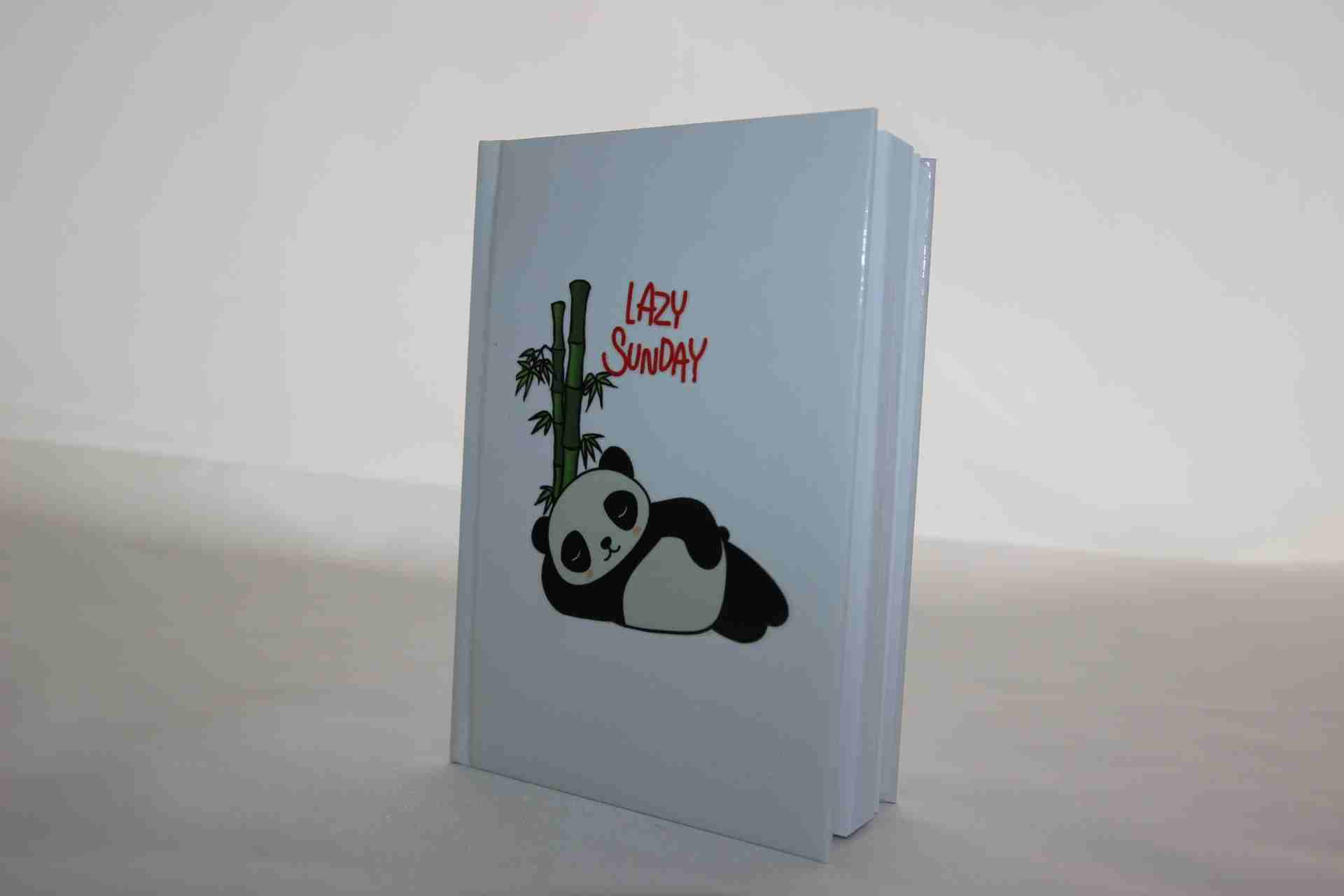 İhtiyaçavm Sevimli Pofuduk Panda Hediye Seti - Panda Baskili Defter Ve Panda Yastik Hediye Kutusu