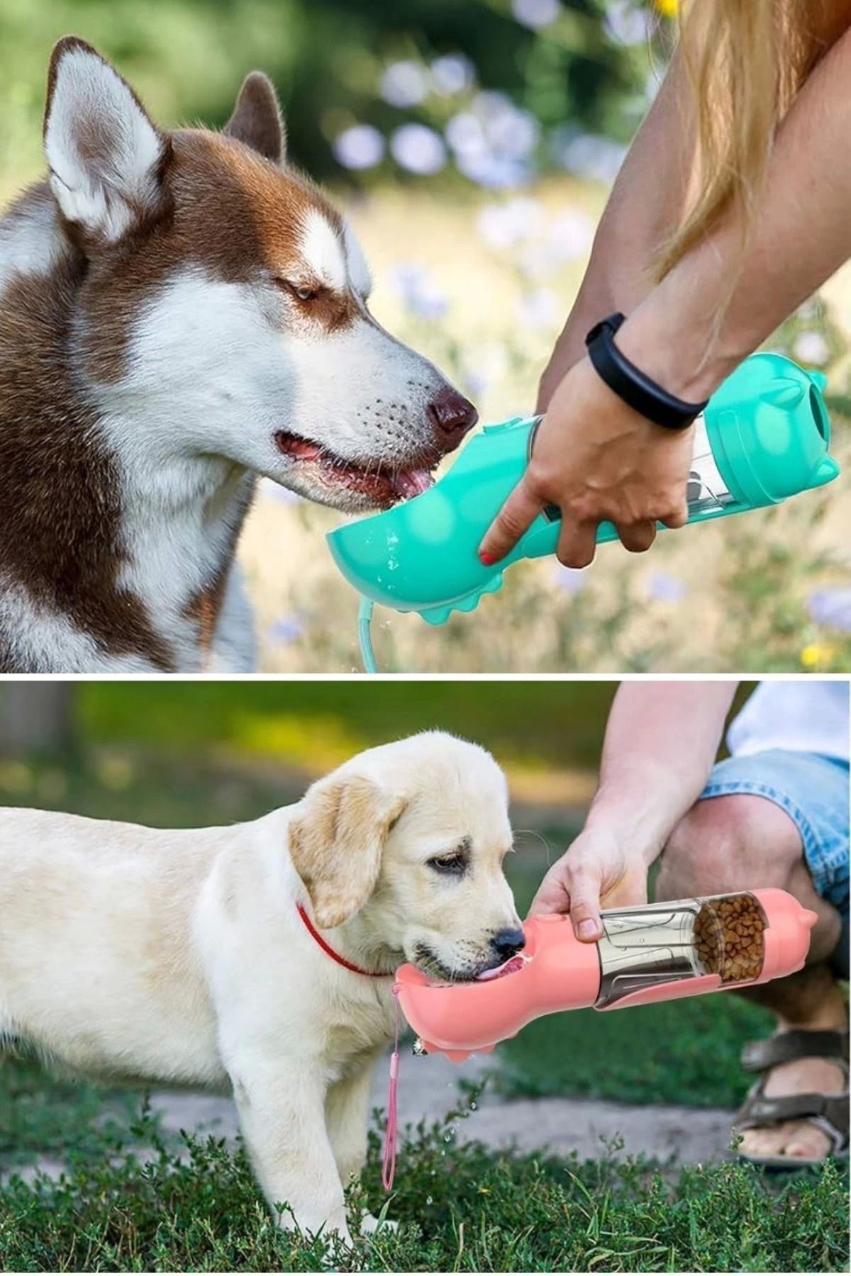 Yusuftex Taşinabilir Hazneli Mama Kapli ,Kaka Poşetli Kedi,Köpek Suluğu-30