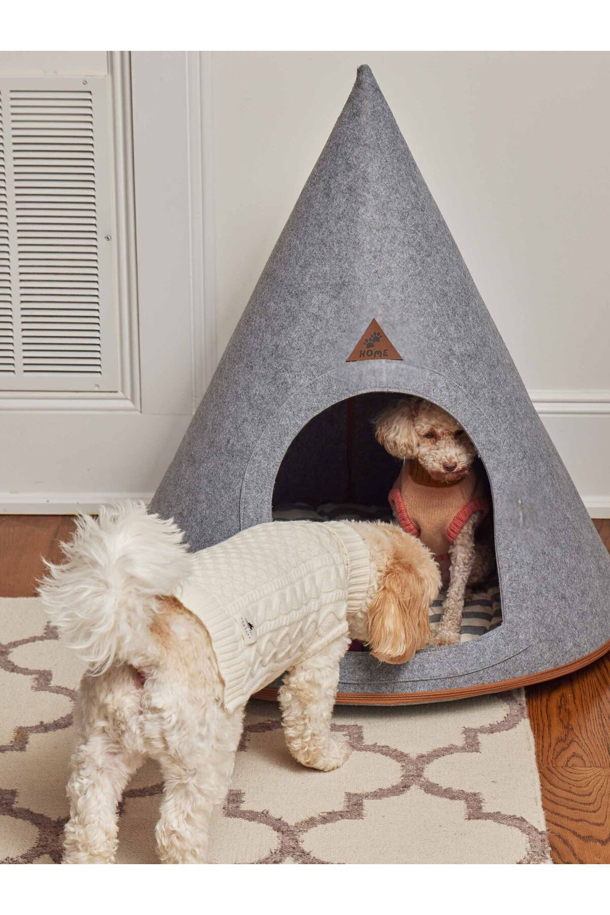 Beylini Taşinabilir Kedi Köpek Evi Minderli Pet Çadir Çantali Model Yuva