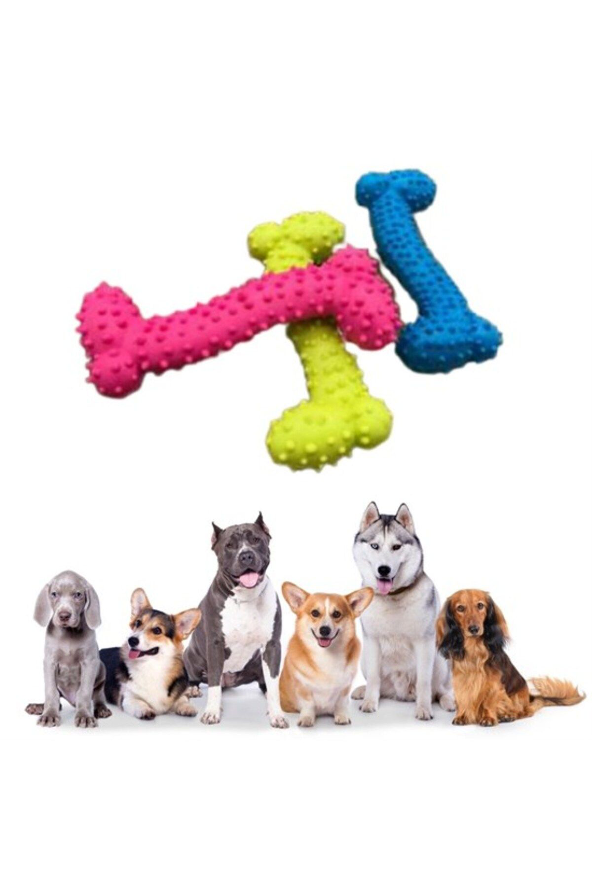 Ok Aksesuar Tiny Kemik Oyuncaği Tirtikli Yüzey Küçük Kemik Plastik Köpek Oyun