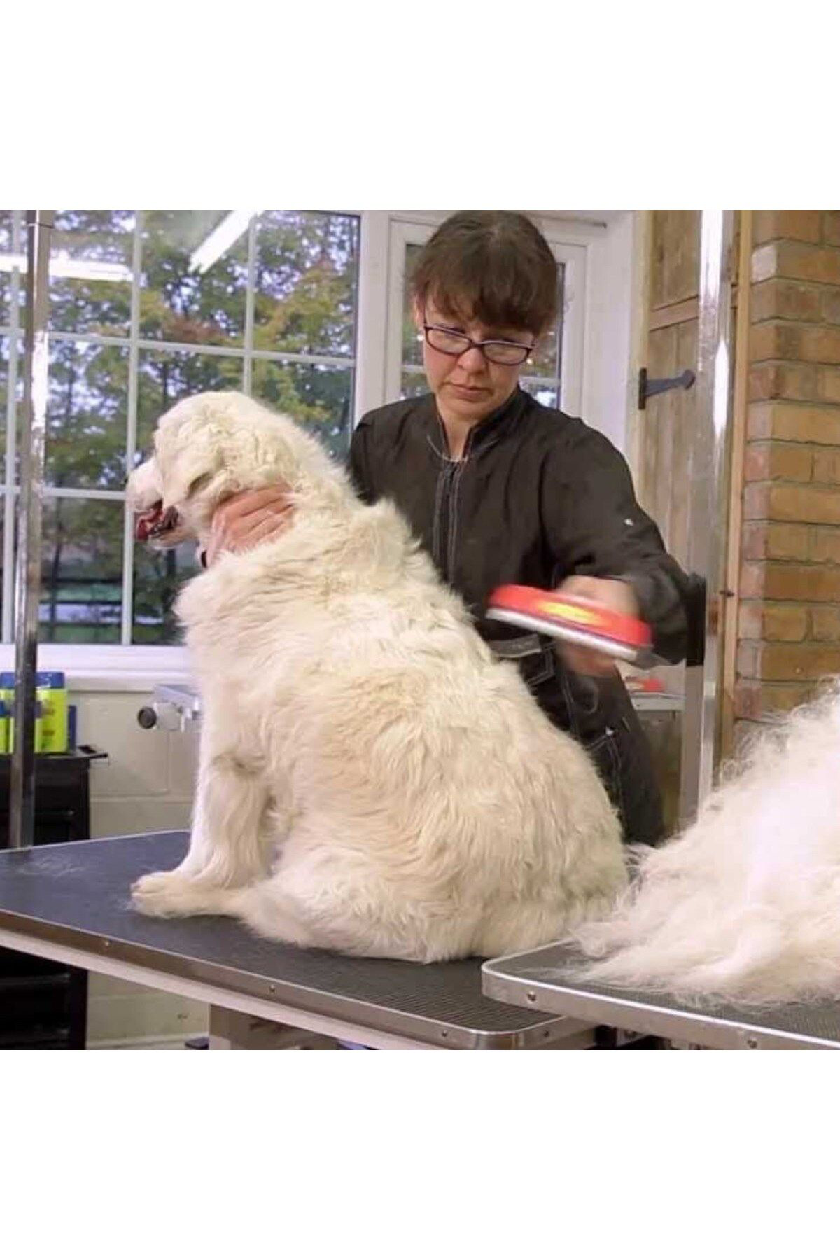 Egatoptan Uzun Tüylü Köpekler İçin Kolay Tarama Firçasi Temizlenebilir Çeli