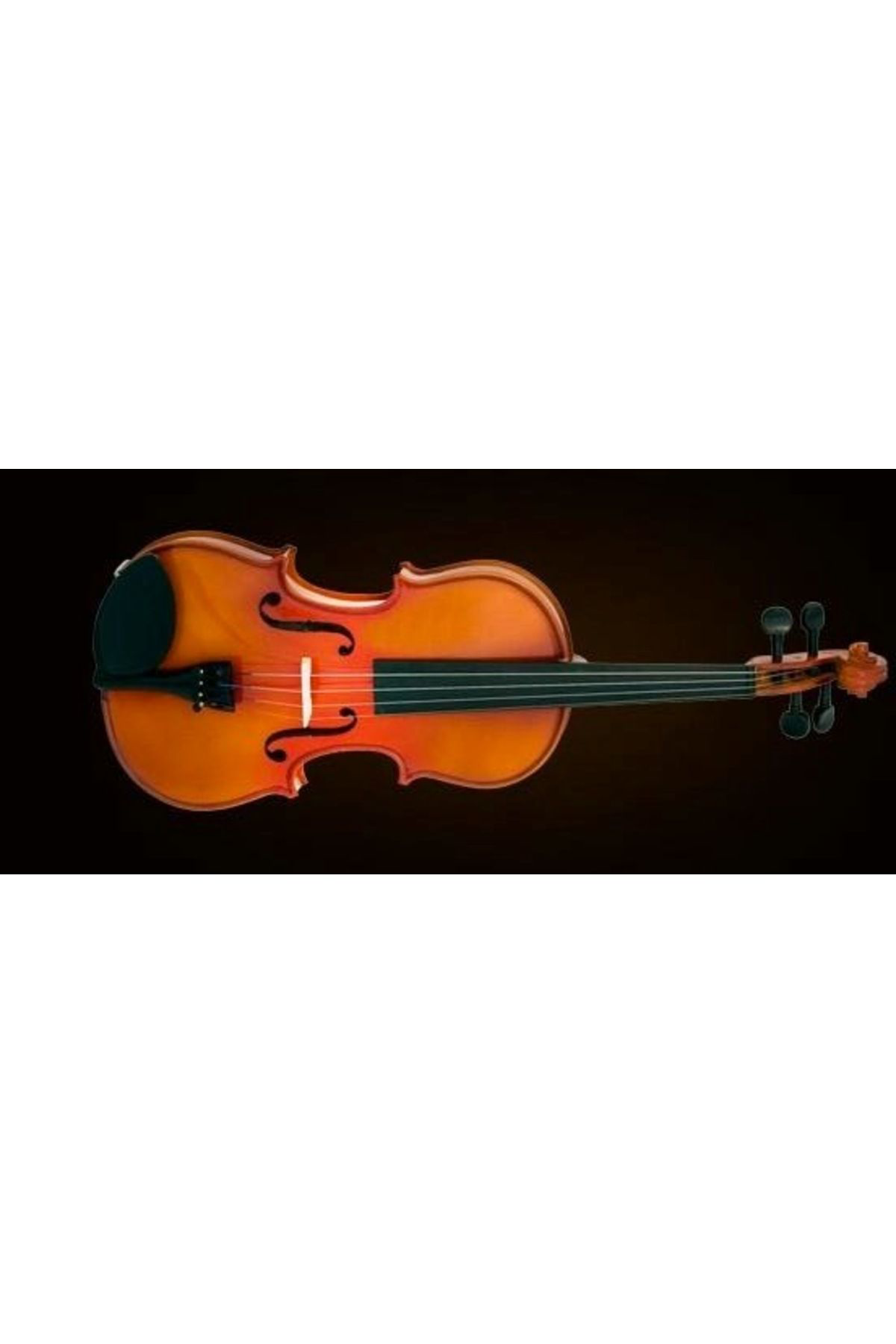 Valencia Va400 Viola Kutulu 15.5" (39,37Cm) Viola Sunburst Kutulu 15.5" (3