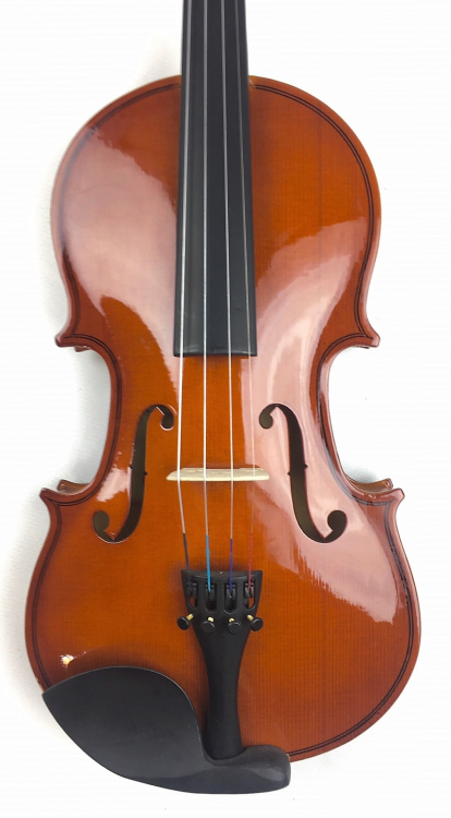 Vanetta  Vl-1A 4/4 Parlak Cila Keman