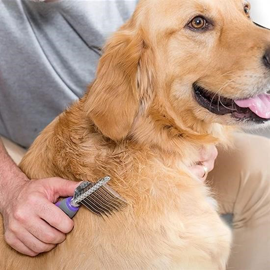 Woody Sofia  Düğüm Açici Pet Firçasi Emniyetli Uzun Ve Çelik Dişli