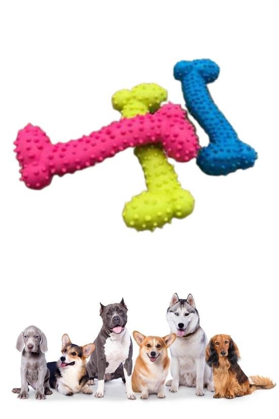 Woody Sofia  Tiny Kemik Oyuncaği Tirtikli Yüzey Küçük Kemik Plasti