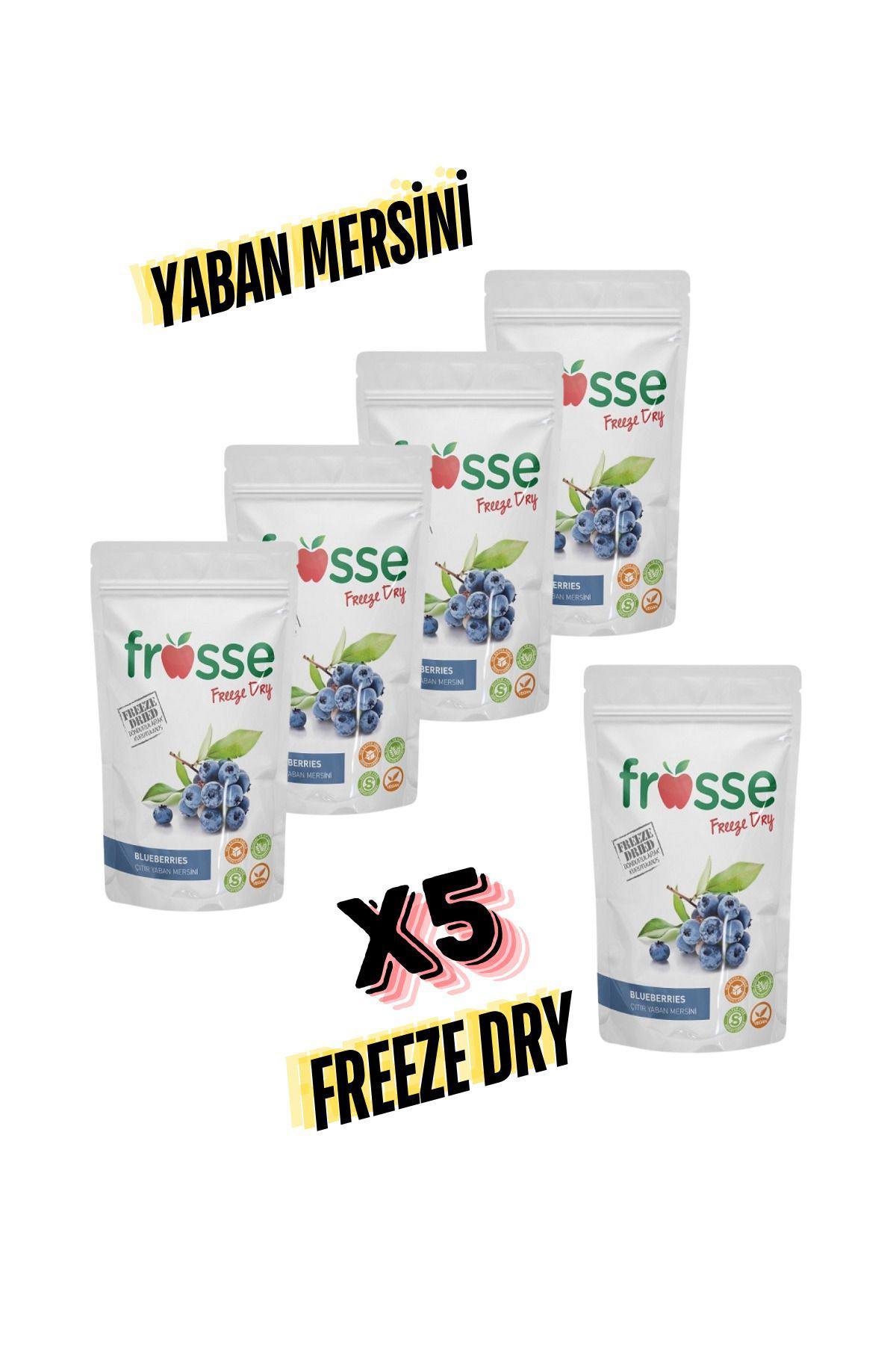 Frosse Yaban Mersini Kitiri - Freeze Dried - Üretici Firmadan Dondurular