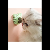 İhtiyaçavm Yengeç Kedi Otu Oyun Topu