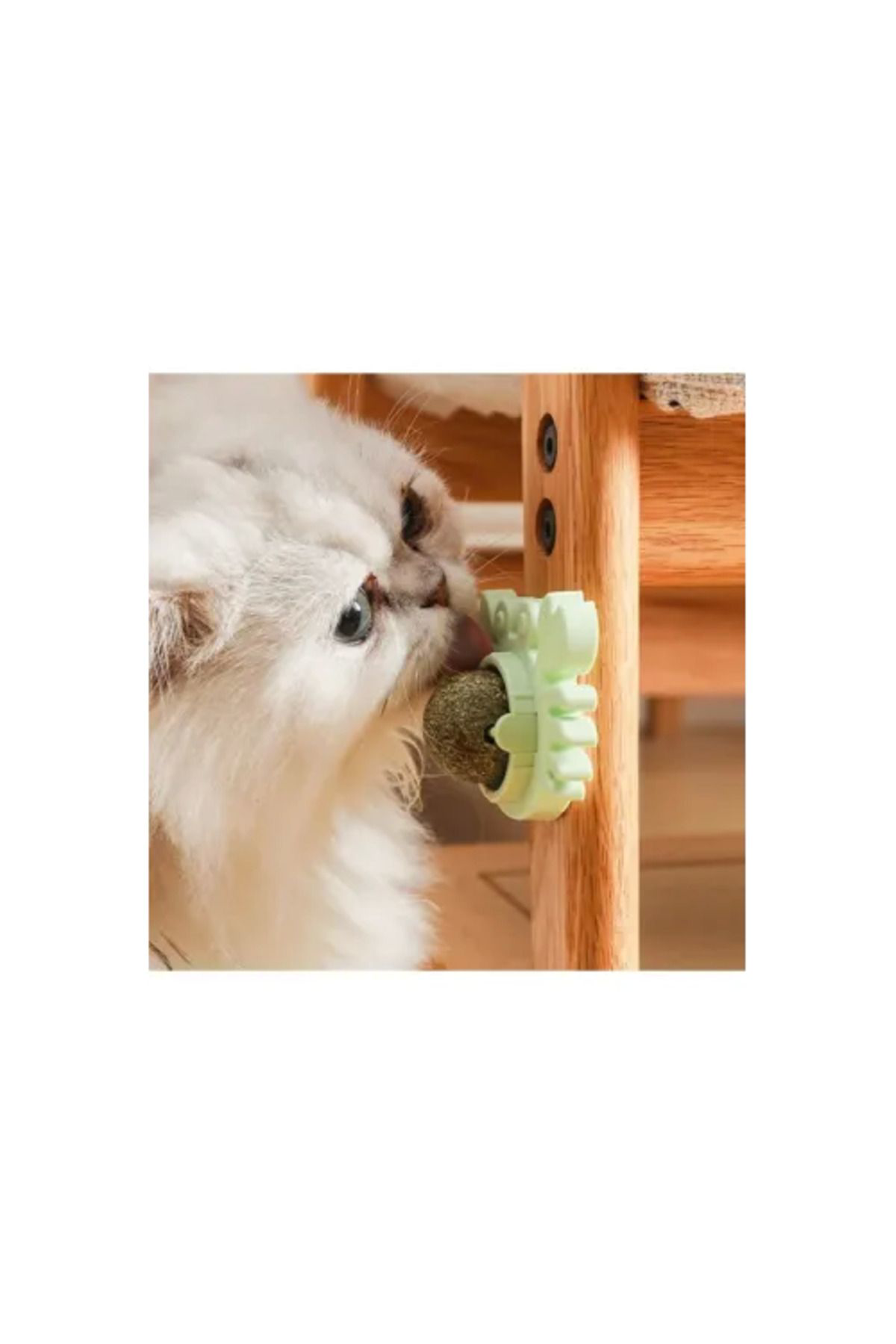 Yusuftex Yengeç Kedi Otu Oyun Topu