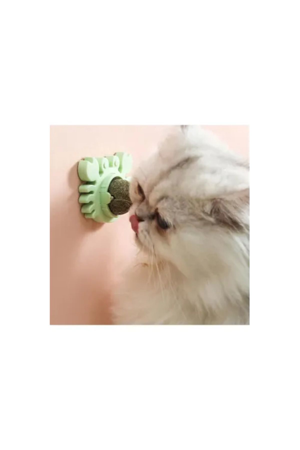 Yusuftex Yengeç Kedi Otu Oyun Topu