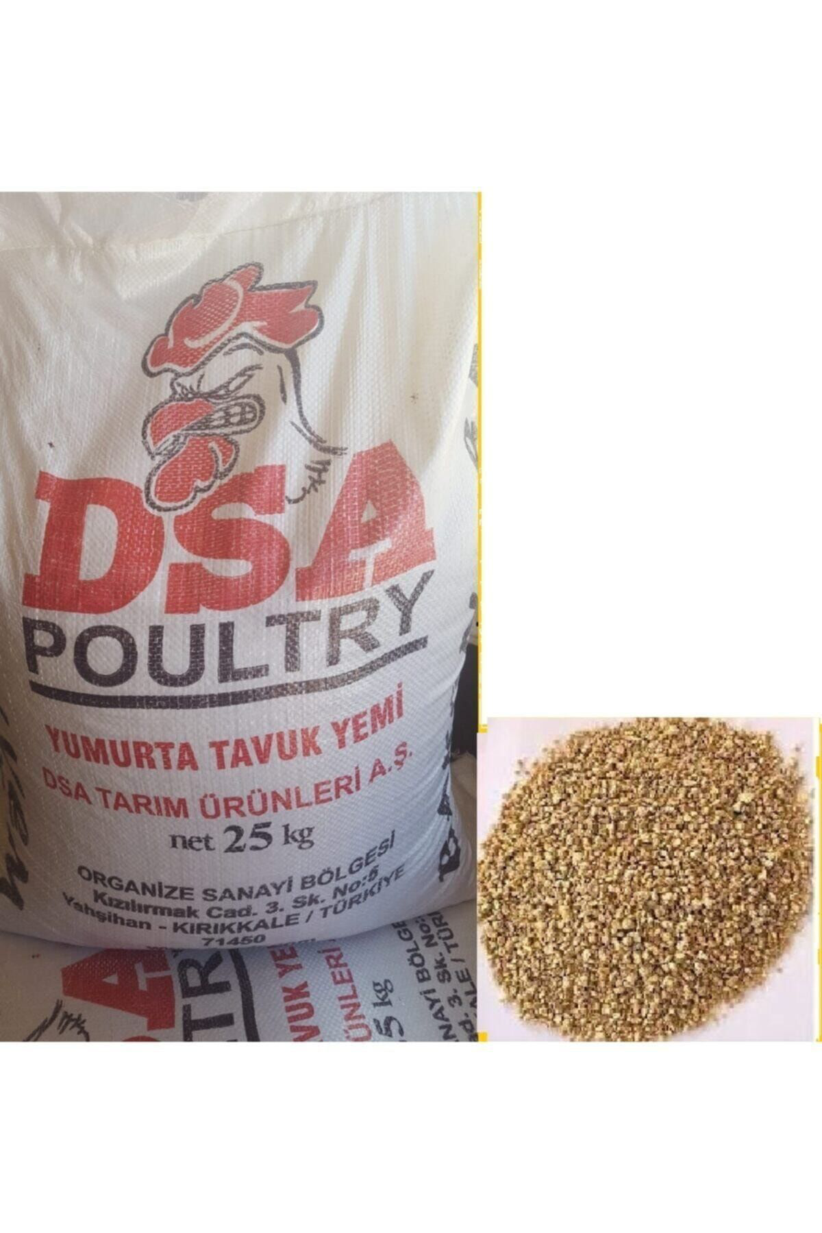 Dsa Yumurta Pik Yemi 1 Kg ( Granül )
