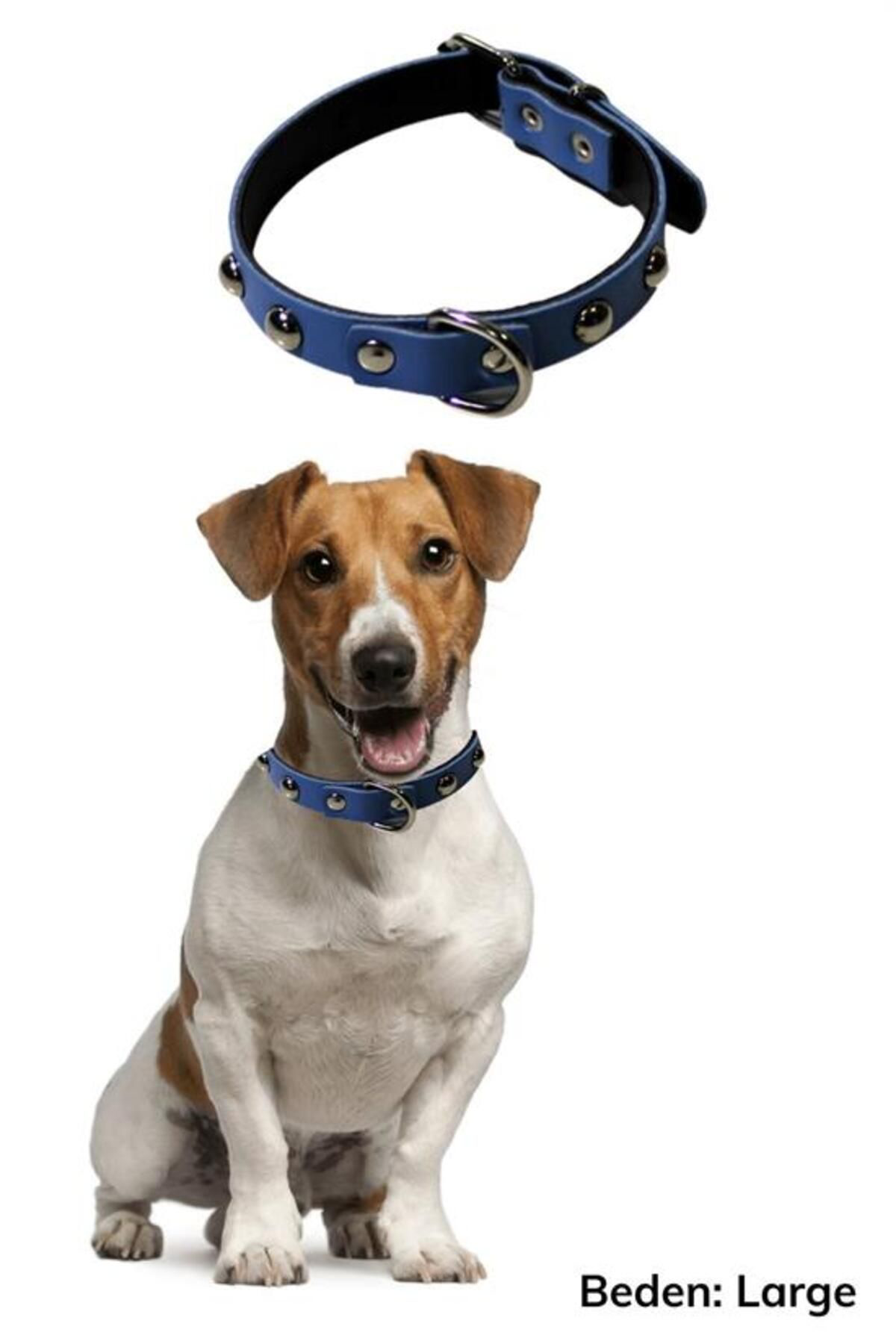 Ok Aksesuar Yumuşak Dokulu Deri Köpek Gezdirme Boyun Tasmasi (Large) Go506029