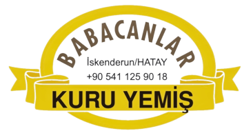 babacanlar kuru yemiş Logo