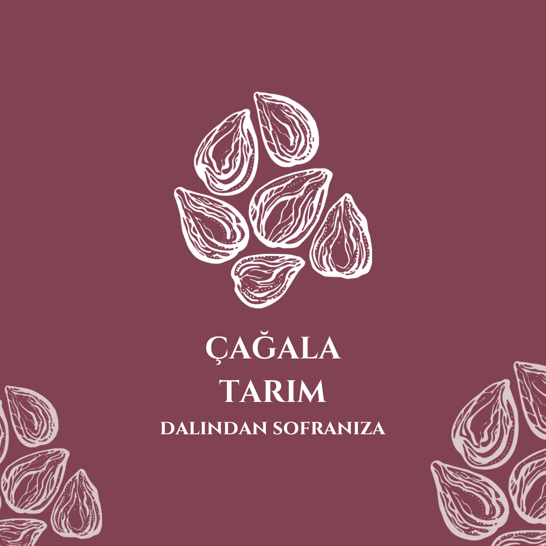 çağala tarım Logo