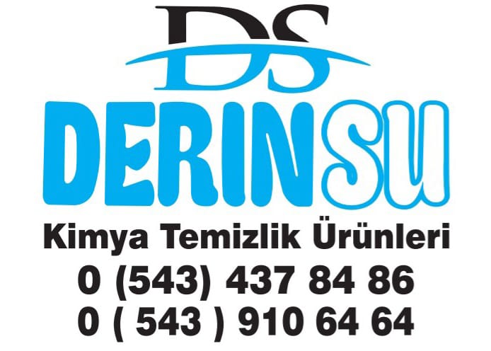ds kimya Logo