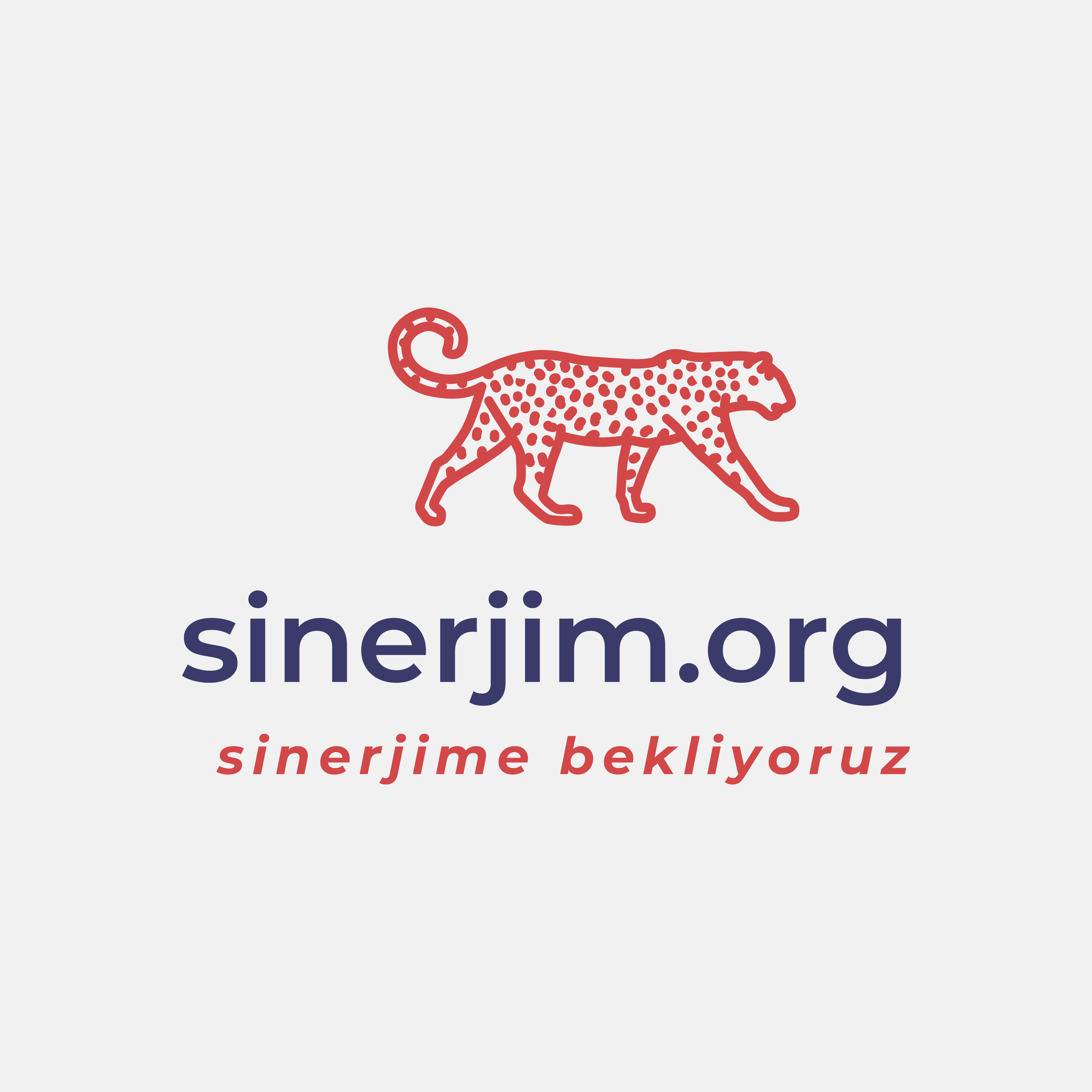 sinerjim Logo