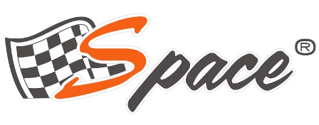 space Logo