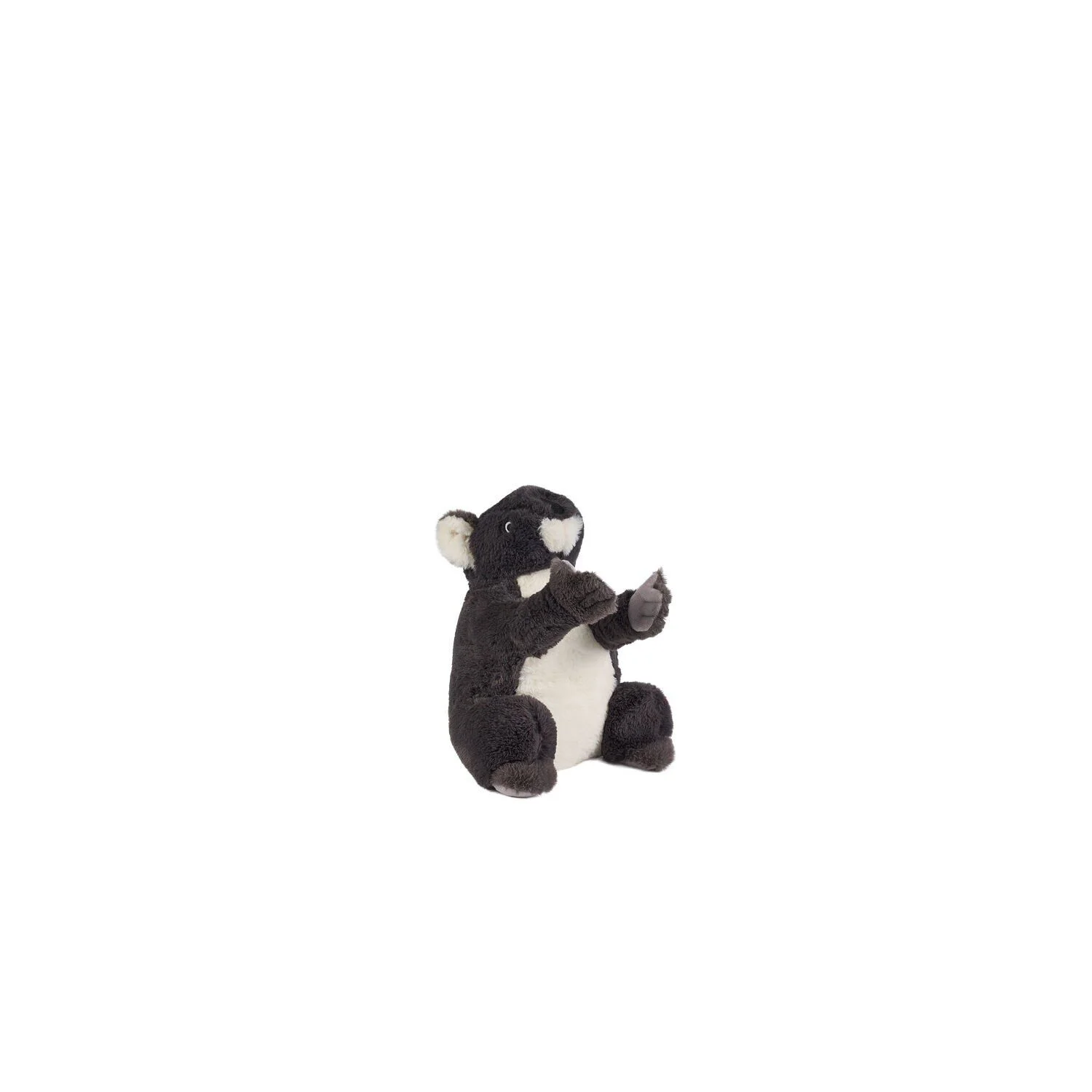 0785 Gri Renk Koala Fiyatı, Yorumları ve Özellikleri