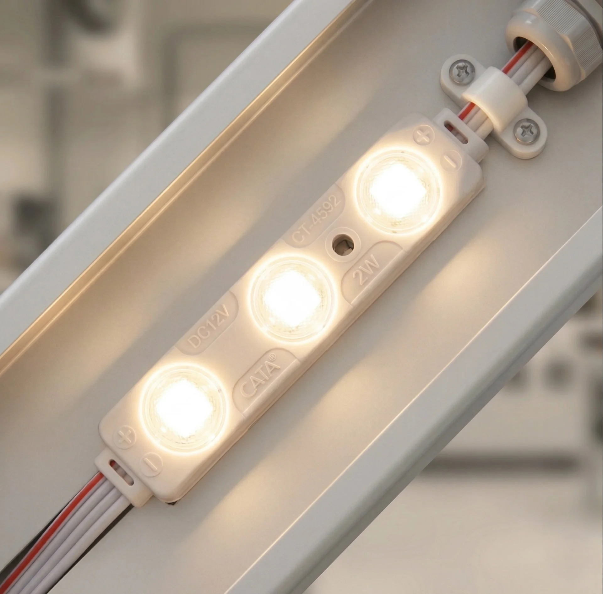1 Adet 10 Adet CATA CT 4592 Modül Led 2W 3200K Gün Işığı 12V