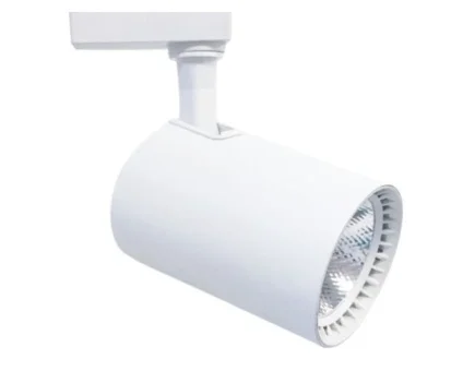 1 Adet CATA CT 5333 Babil Ledli Ray Spot 30W Beyaz Kasa 6400K Beyaz Işık 1 Adet CATA CT 5333 Babil Ledli Ray Spot 30W Beyaz Kasa 6400K Beyaz Işık