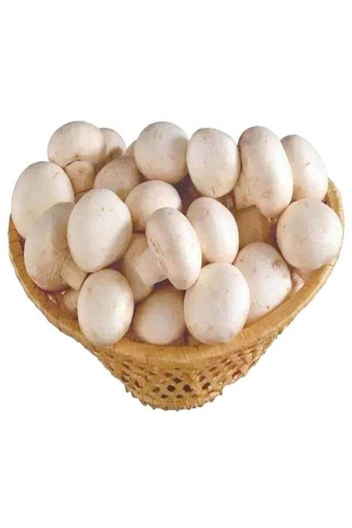 Tohumgübre 1 Gr Kültür Mantarı Tohumu Miseli