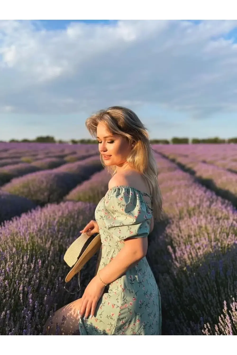 10 Adet Açık Kök Intermedia Lavanta Fidesi Fidanı