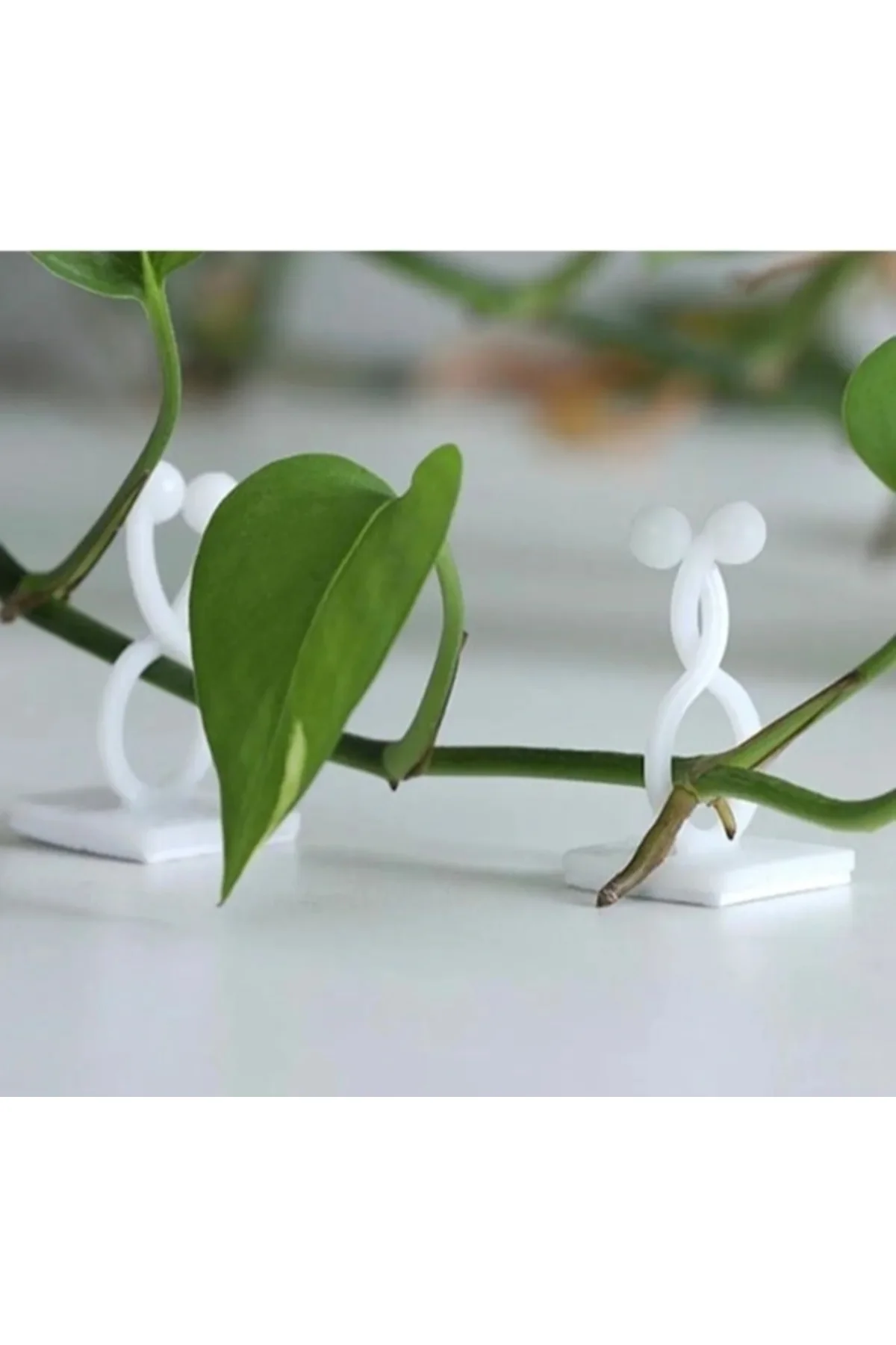 10 Adet Bitki Klipsi Sarmaşık Tutucu Kendinden Yapışkanlı Pratik 