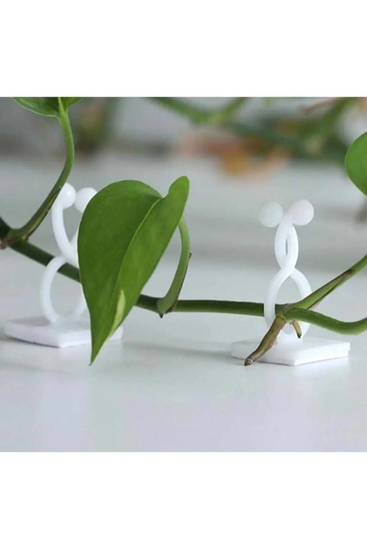 10 Adet Bitki Klipsi Sarmaşık Çiçek Tutucu Duvar Tutturma Aparatı