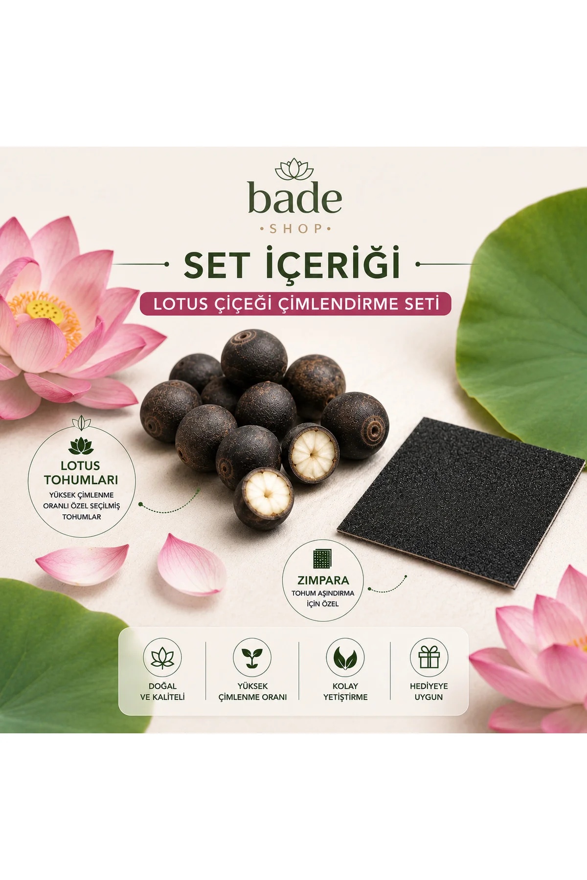 10 Adet Nilüfer (Lotus) Çiçeği Tohumu ve Çimlendirme Seti – Zımpara ve Rehber Kitapçık Dahil Fiyatı, Yorumları ve Özellikleri