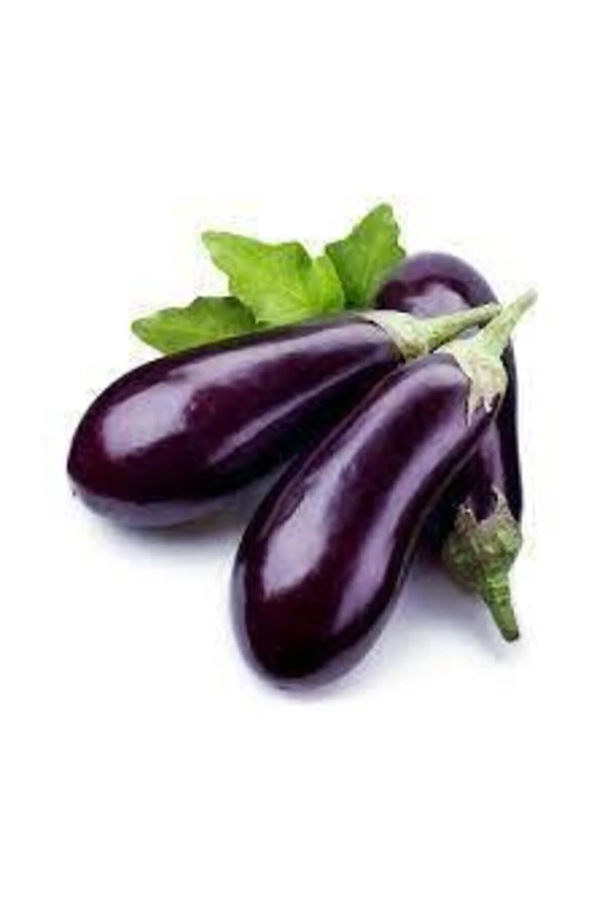 10 Adet Tohum Kemer Palıcan Tphumu Orjinal Yerli Tohum Kemer Patlıcanı Tohumu Sürpriz Hediye Tohumlu 10 Adet Tohum Kemer Palıcan Tphumu Orjinal Yerli Tohum Kemer Patlıcanı Tohumu Sürpriz Hediye Tohumlu