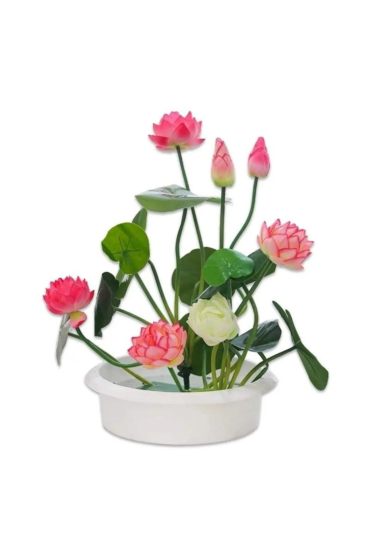 10 Adet Tohum Nadir Pembe Uzak Doğu Kutsal Kase Lotus Çiçeği Tohumu Pembe Kase Lotus Tohumu