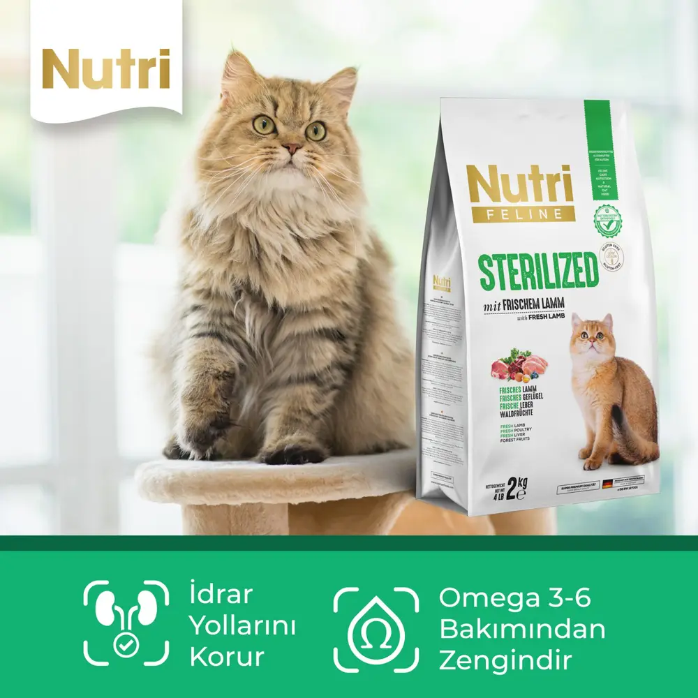 10 kg Sterilised Kuzu Etli Kuru Kedi Maması