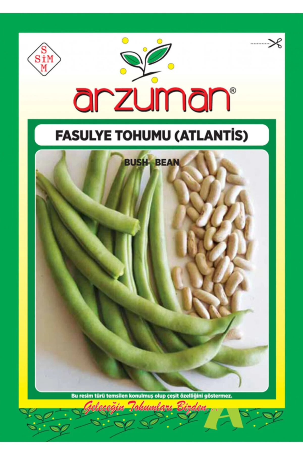 100 Adet Atlantis Oturak Fasulye Tohumu