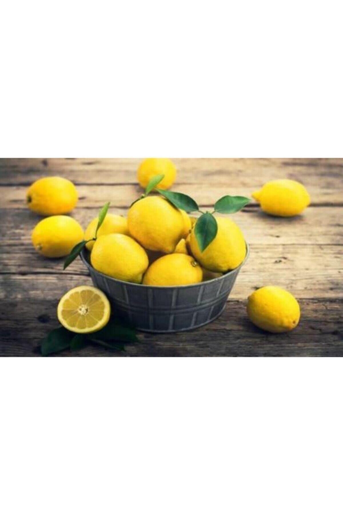 100 Adet Cep Ve Çanta Boy Limon Kolonyası