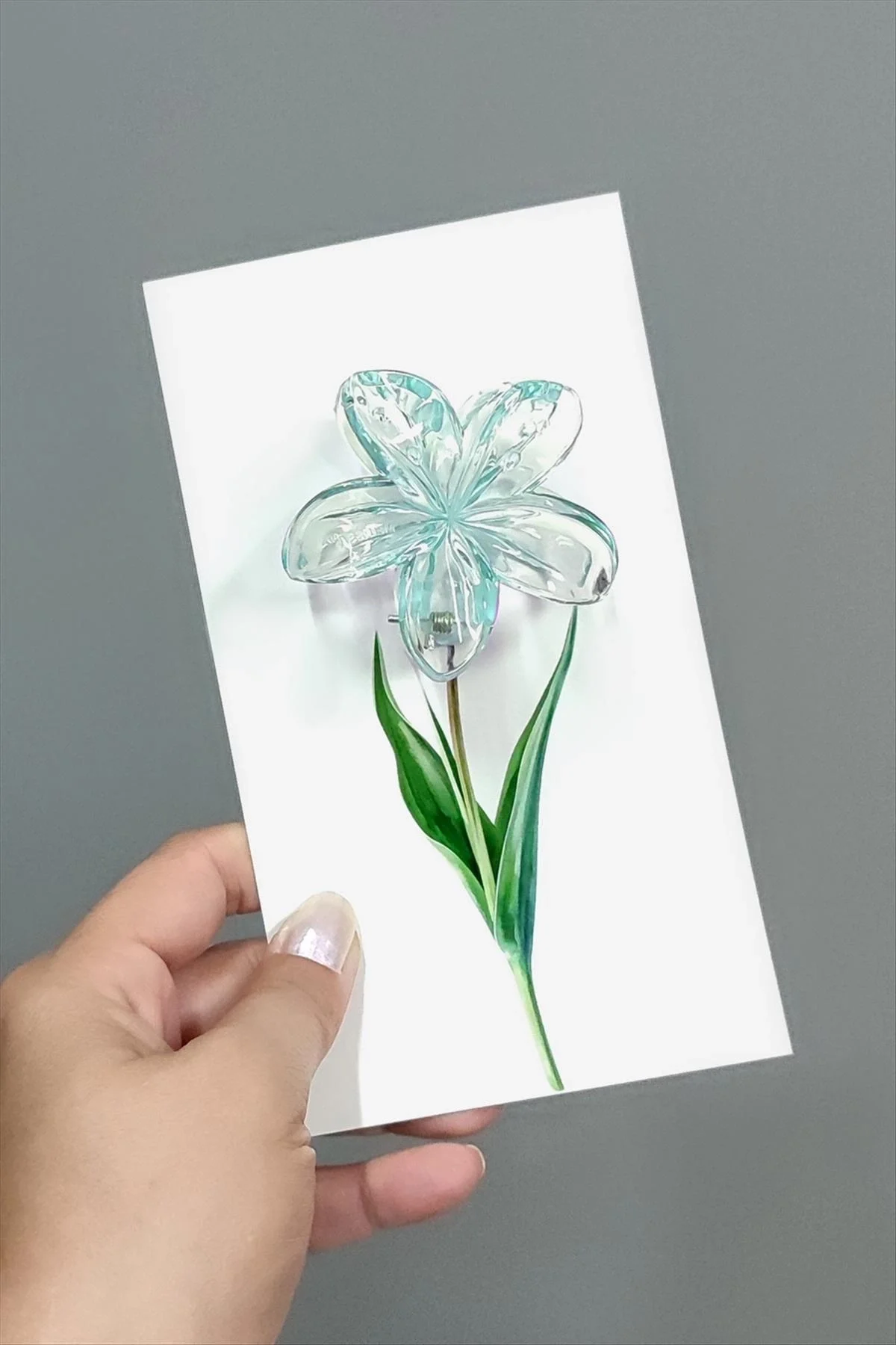 100 Adet Şeffaf Renkli Lotus Toka 8 cm Kına Seti