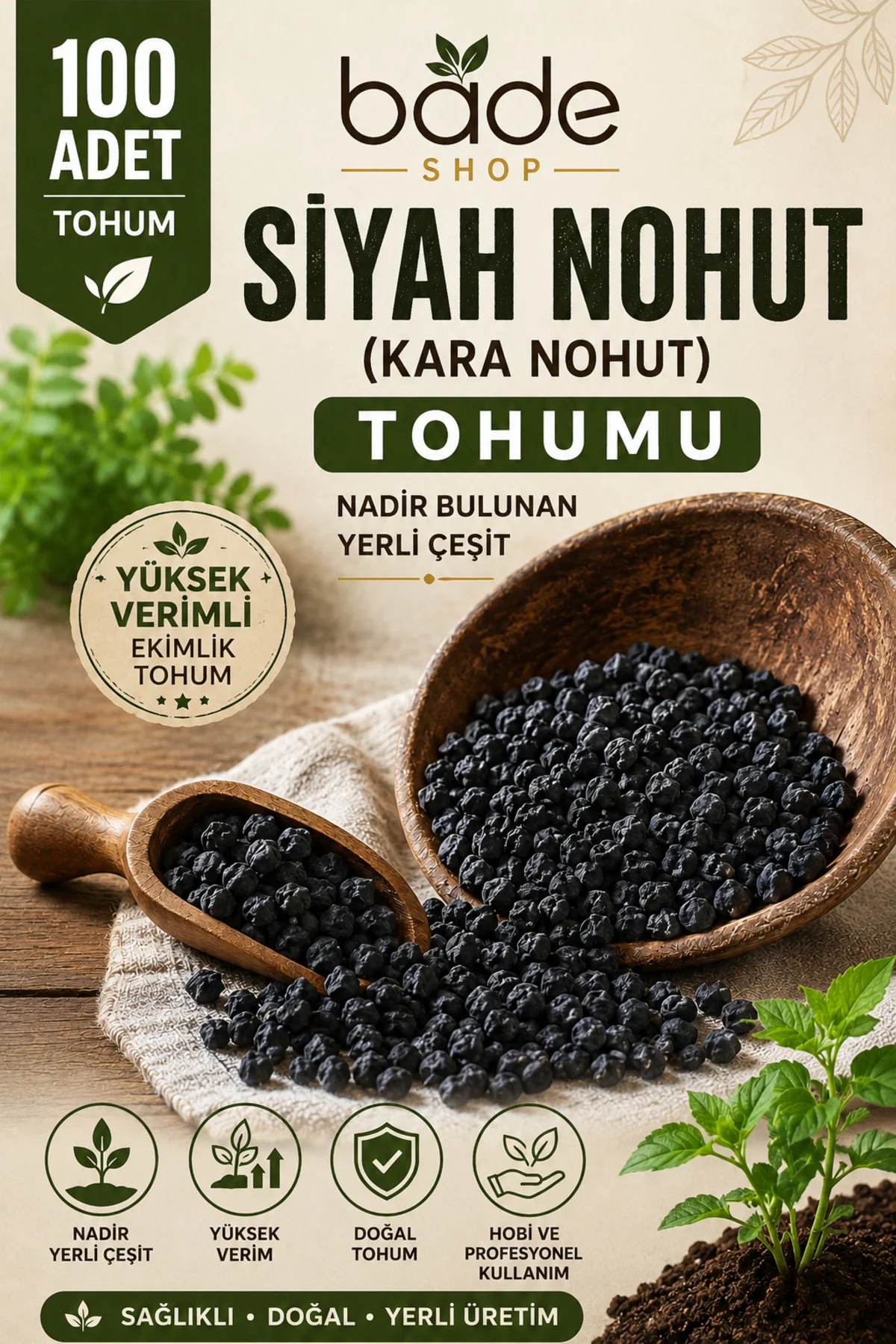 100 Adet Siyah Nohut Tohumu | Kara Nohut | Nadir ve Verimli Ekimlik Tohum Fiyatı, Yorumları ve Özellikleri
