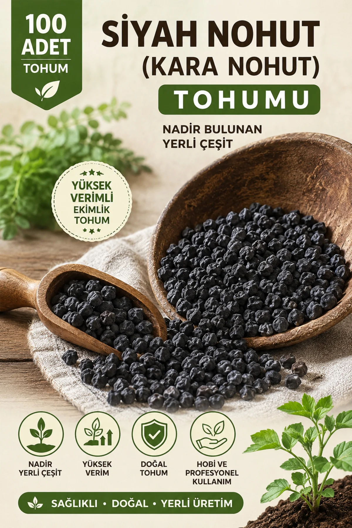 100 Adet Siyah Nohut Tohumu | Kara Nohut | Nadir ve Verimli Ekimlik Tohum Fiyatı, Yorumları ve Özellikleri