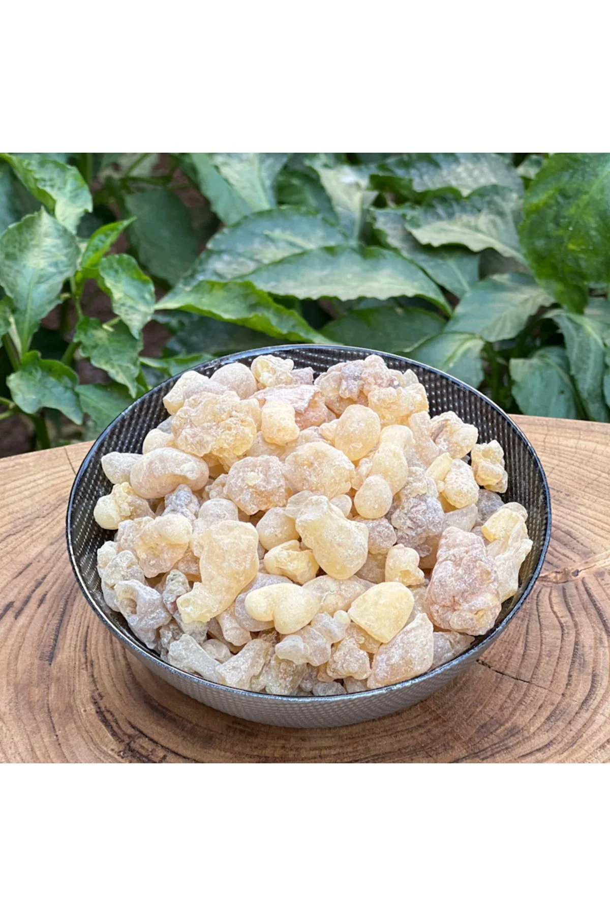 %100 Doğal Akgünlük Sakızı Sığla Ağacı Reçinesi Günlük Bitkisi Bahur (BUHUR) Reçine 50 gr Fiyatı, Yorumları ve Özellikleri