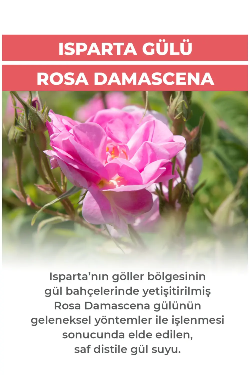 %100 Doğal Gül Suyu 300 Ml